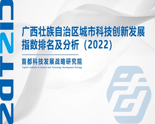 国产精品大吊艹淫逼高潮【成果发布】广西壮族自治区城市科技创新发展指数排名及分析（2022）